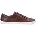 Be Lenka Elite Dark Brown