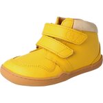 BLifestyle アライグマ レモン