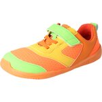 BLifestyle dodoSTYLE Apricot