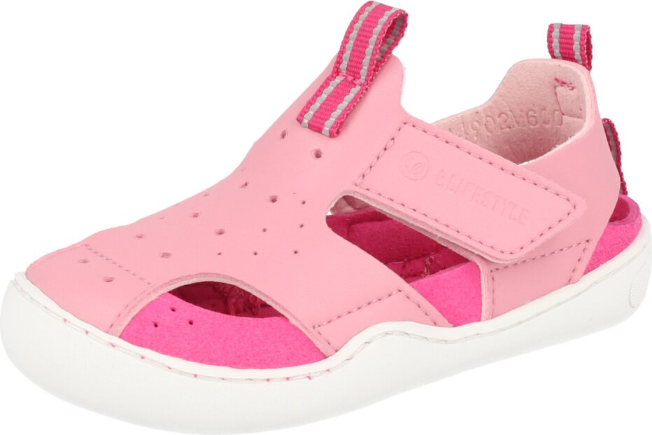 BLifestyle Gerenuk バラ