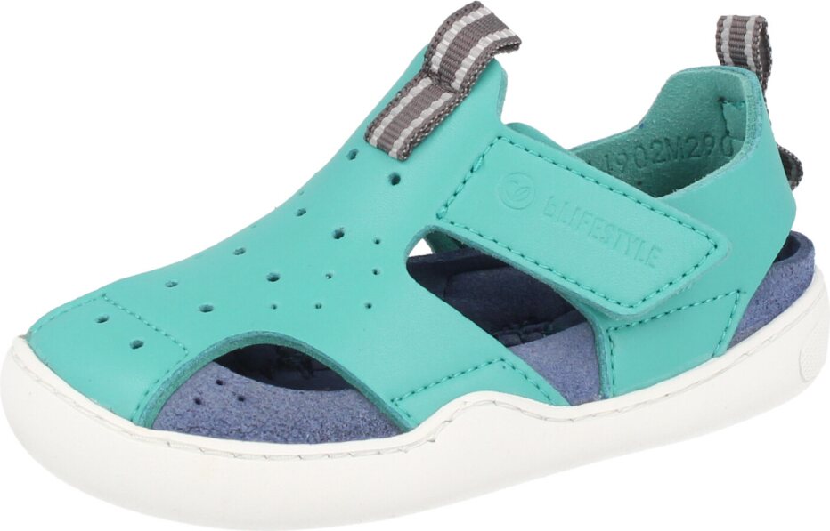 BLifestyle Gerenuk ガソリン