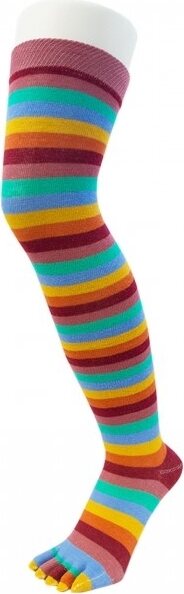 TOETOE Over-Knee Stripy Meadow