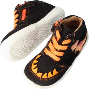 BLifestyle Dinosaurus