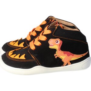 BLifestyle Dinosaurus