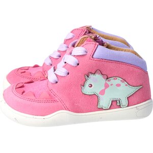 BLifestyle Dinosaurus