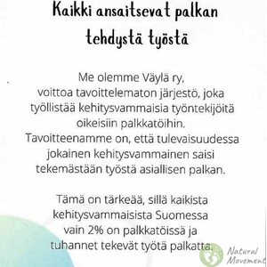Väylä Shoe Bag