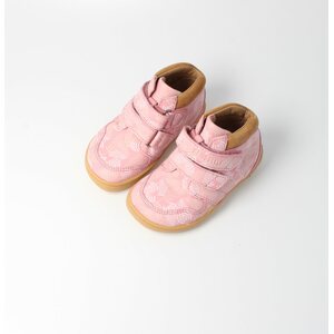 BLifestyle アライグマ