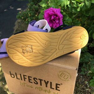 BLifestyle Niobe